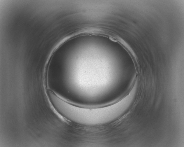 X0000068731437200605121506