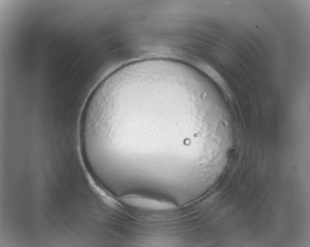 X0000068731439200605121506