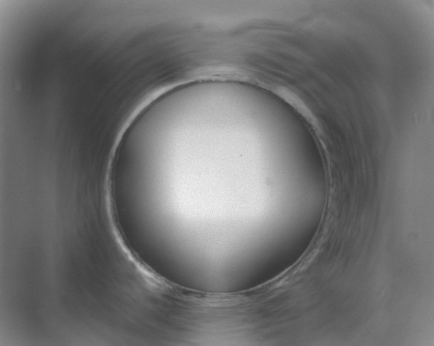 X0000068731440200605121506