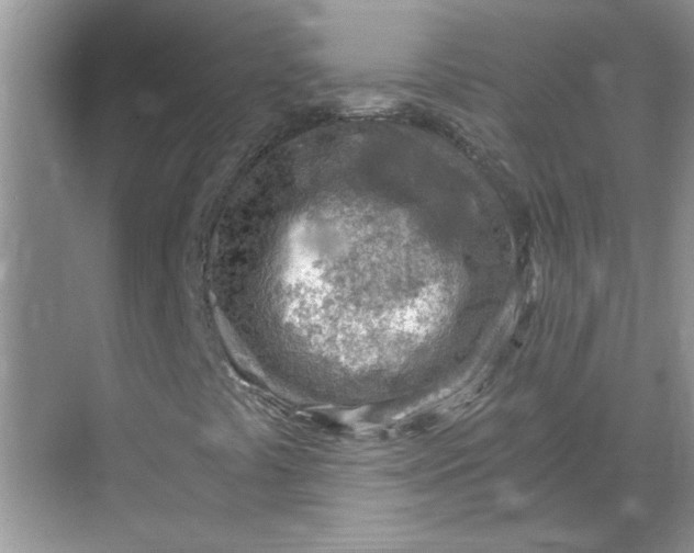 X0000068731441200605121506