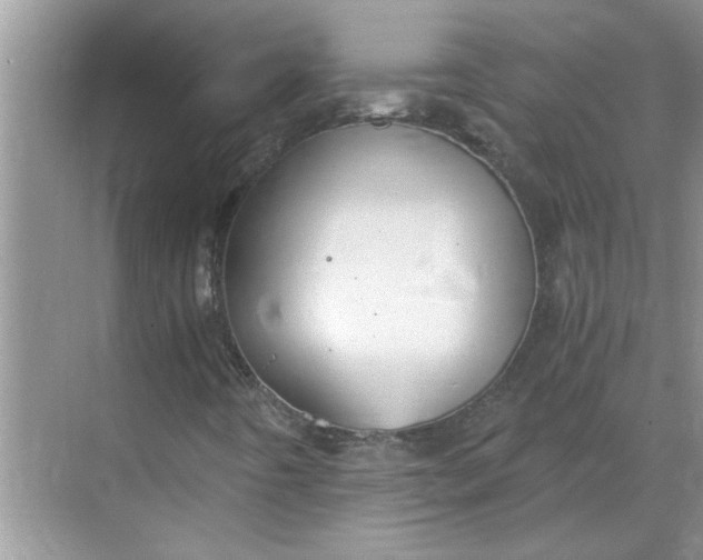 X0000068731442200605121506