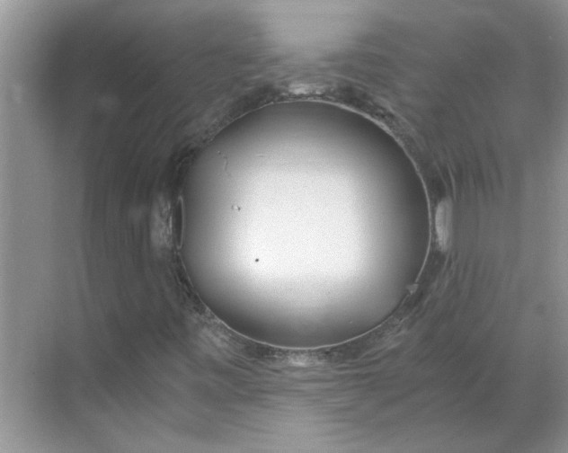 X0000068731443200605121506