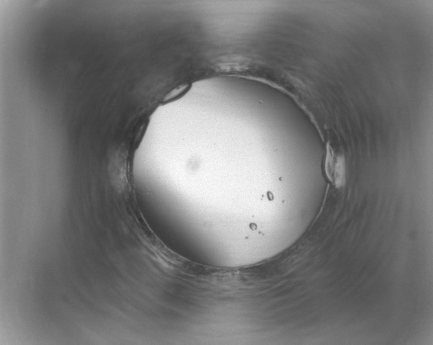 X0000068731444200605121506