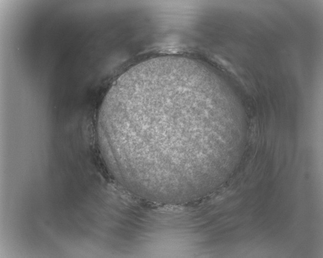 X0000068731446200605121506