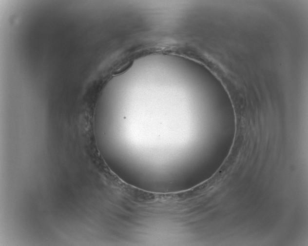 X0000068731447200605121506