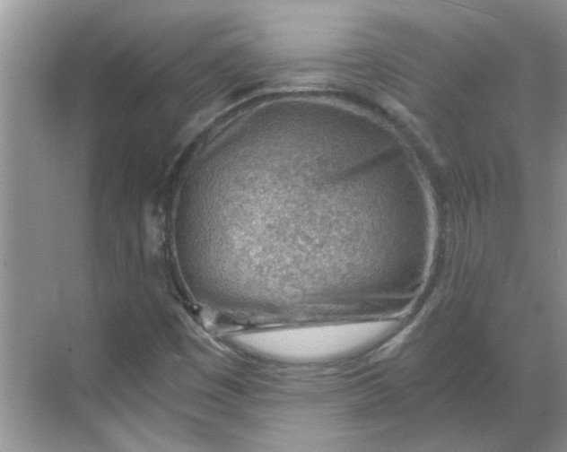 X0000068731449200605121506