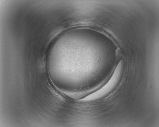 X0000068731450200605121505