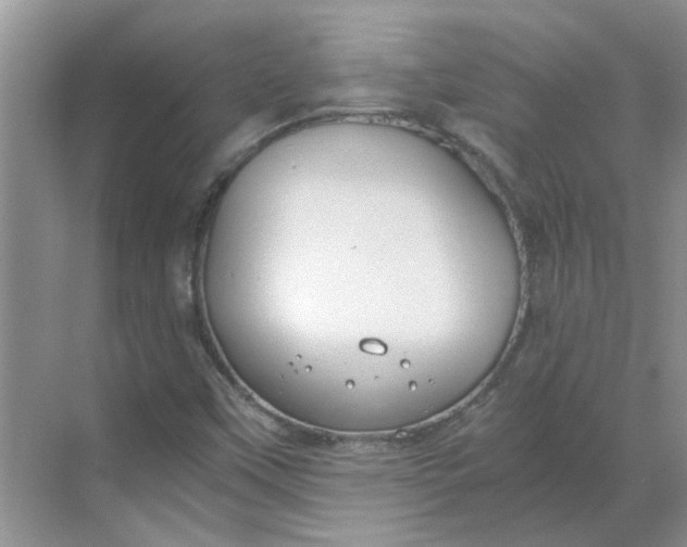 X0000068731451200605121505