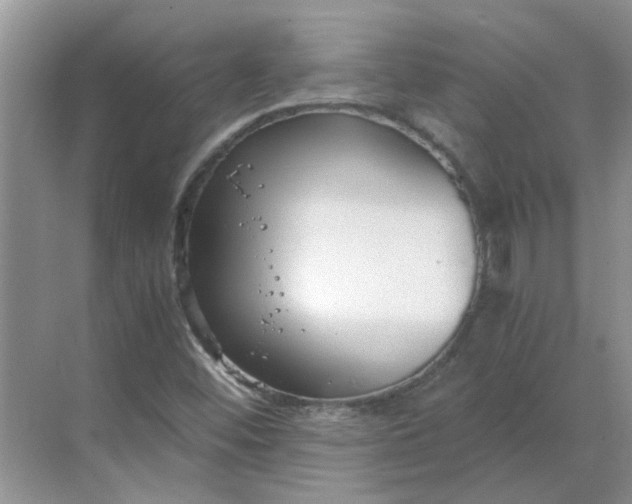 X0000068731452200605121505