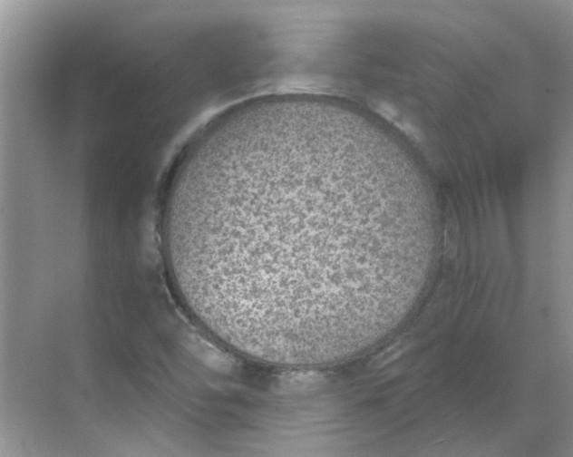 X0000068731454200605121505