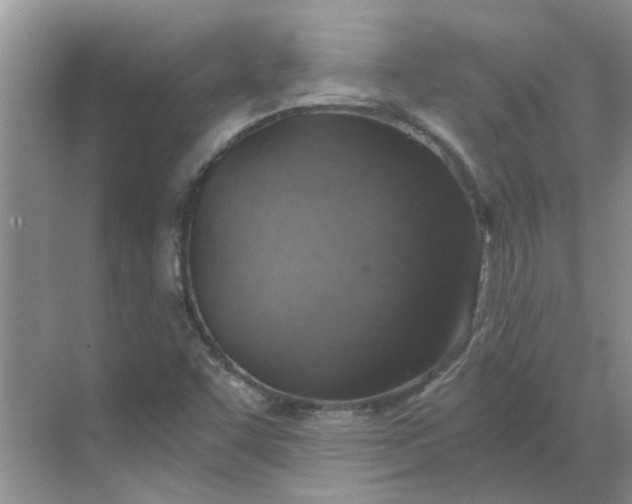 X0000068731455200605121505