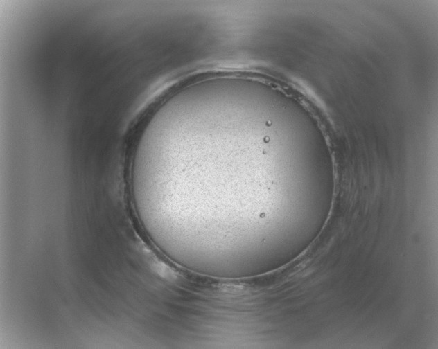 X0000068731456200605121505