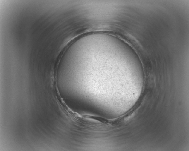 X0000068731457200605121505