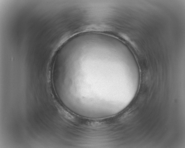 X0000068731459200605121505