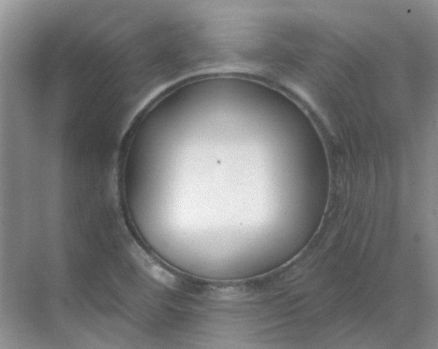 X0000068731460200605121505