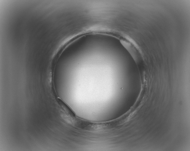 X0000068731461200605121505