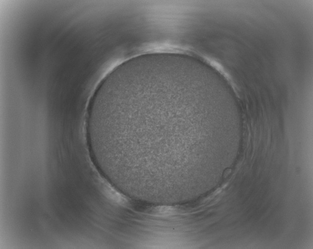 X0000068731463200605121505