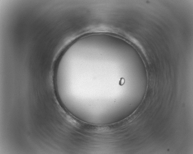 X0000068731464200605121505