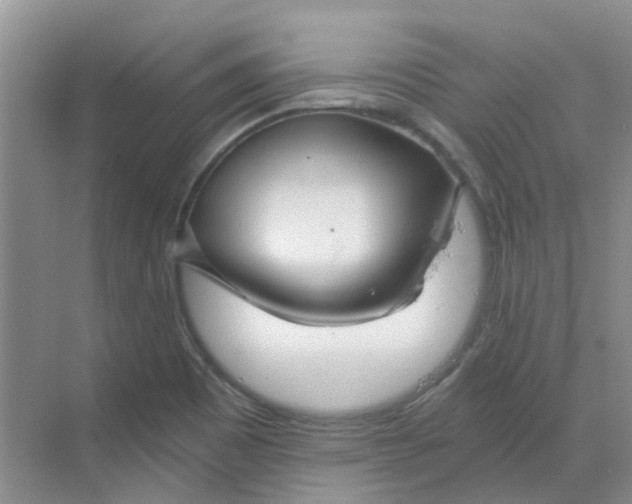 X0000068731465200605121505