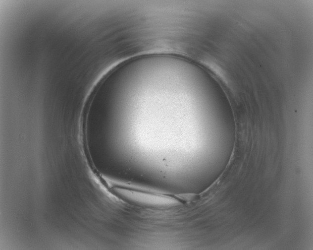 X0000068731468200605121505