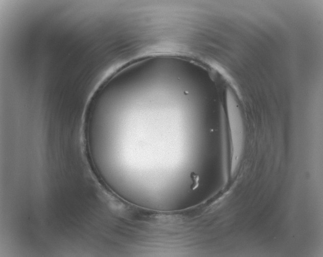 X0000068731469200605121505