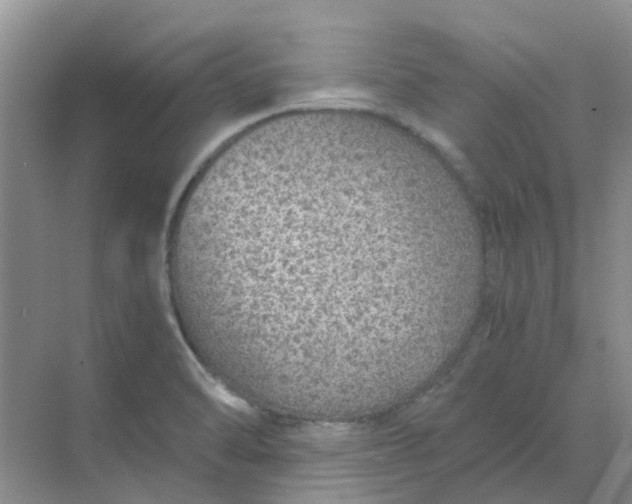 X0000068731470200605121505