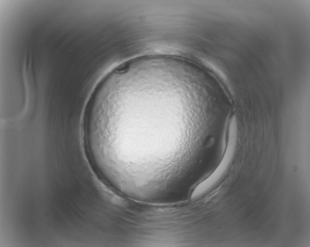 X0000068731471200605121505