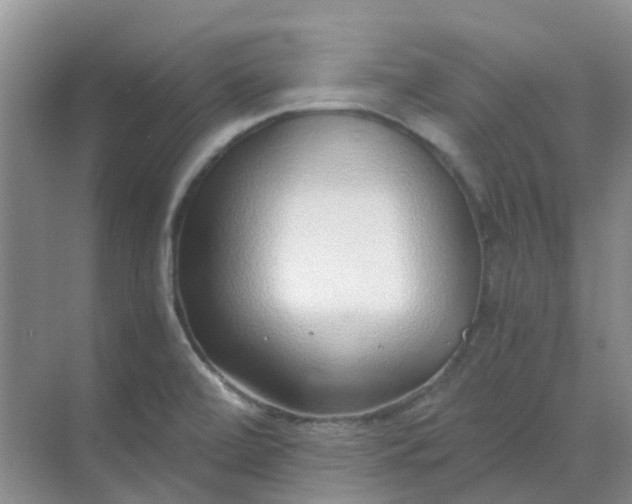 X0000068731472200605121505