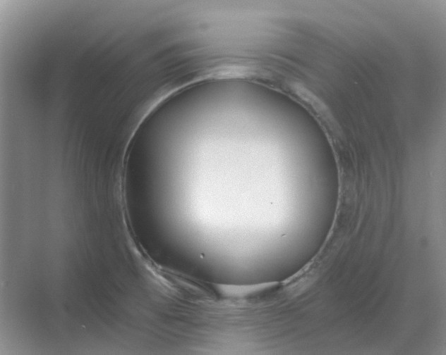 X0000068731473200605121505