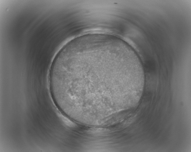 X0000068731474200605121505