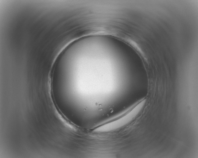 X0000068731476200605121505