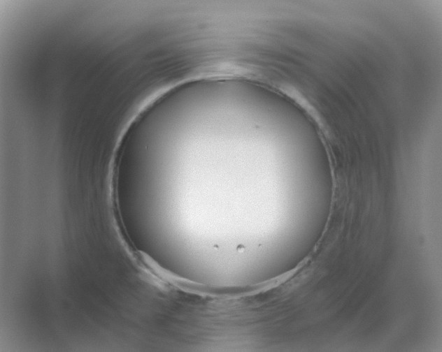 X0000068731477200605121505