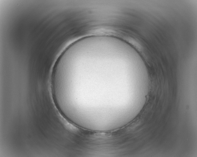 X0000068731478200605121505