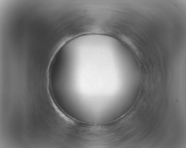 X0000068731479200605121505