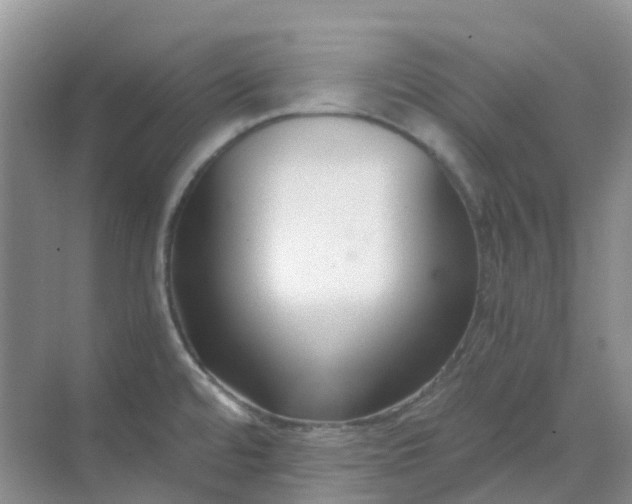 X0000068731480200605121505