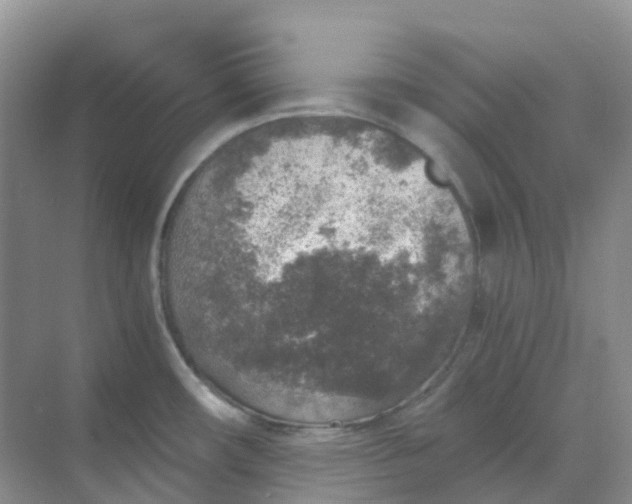 X0000068731482200605121505