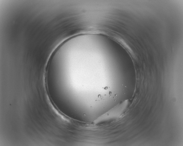 X0000068731484200605121505