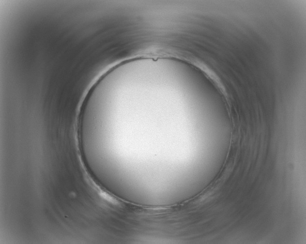 X0000068731486200605121505