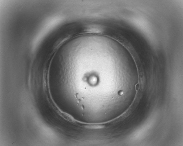 X0000068731487200605121505