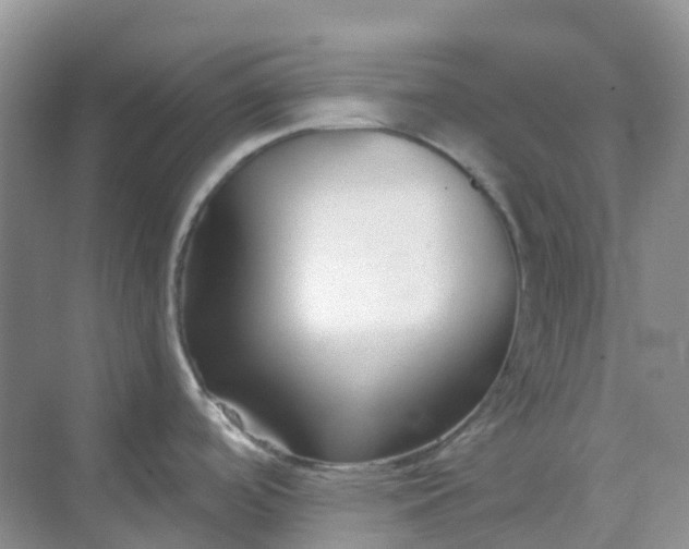 X0000068731488200605121505