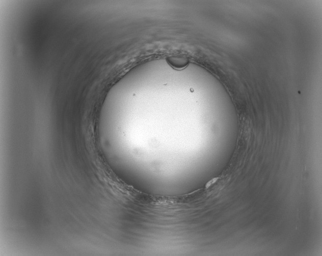 X0000068731489200605121504