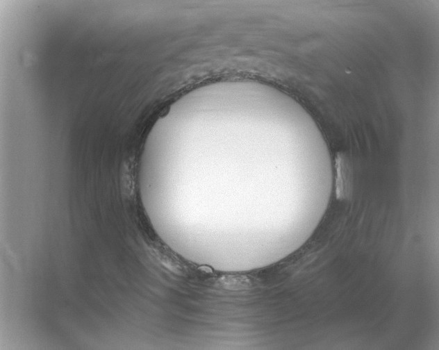 X0000068731491200605121504