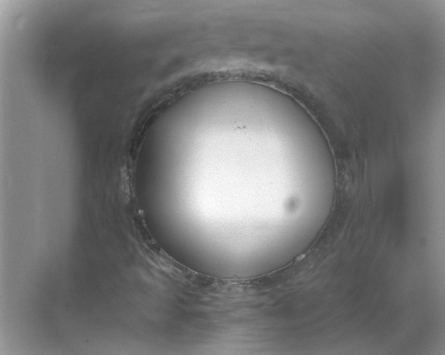 X0000068731493200605121504