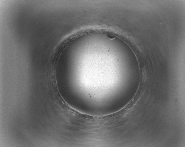 X0000068731494200605121504