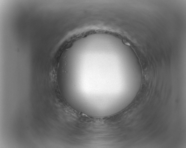 X0000068731495200605121504