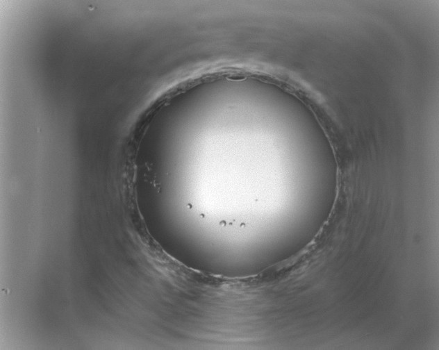 X0000068731496200605121504