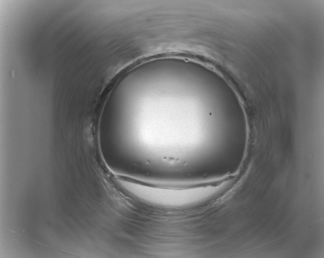 X0000068731497200605121504