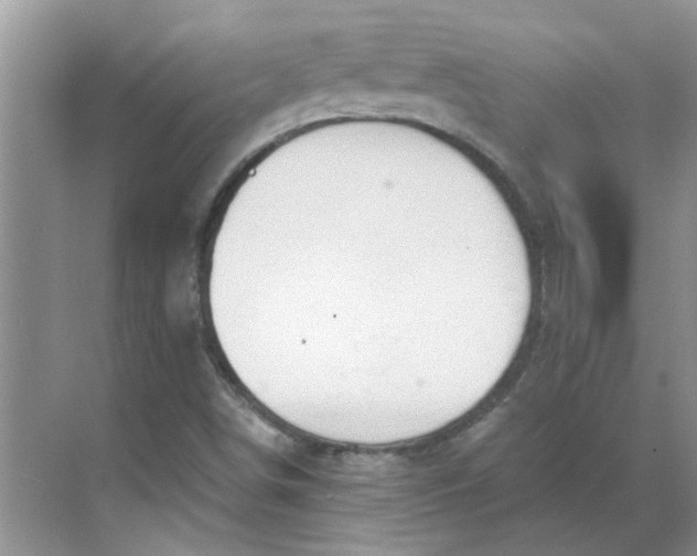 X0000068731498200605121504