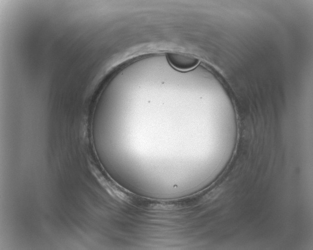 X0000068731499200605121504