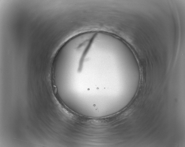 X0000068731500200605121504